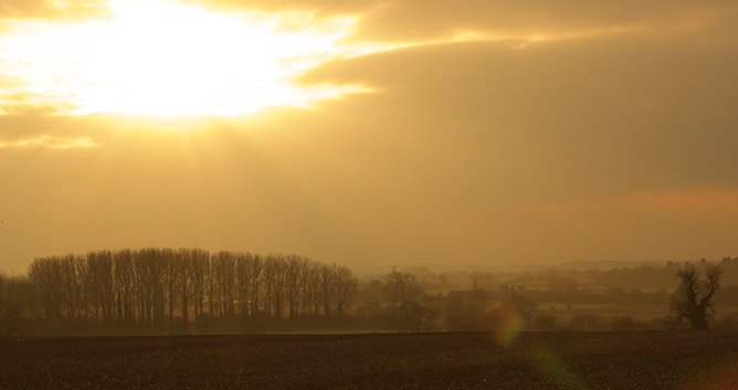 Northamptonshire field